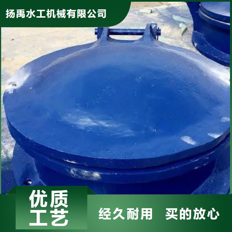拍门球墨铸铁闸门的图文介绍
