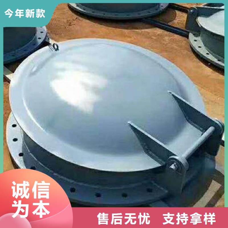 拍门,电动装置启闭机厂家十分靠谱