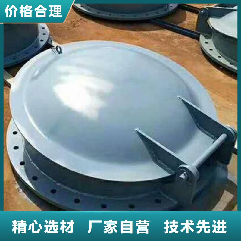 拍门卷扬启闭机厂家支持货到付清