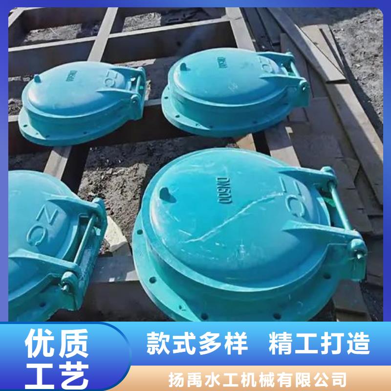 拍门-【铸铁圆闸门】质量优价格低