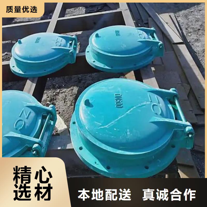 拍门铸铁闸门用心经营