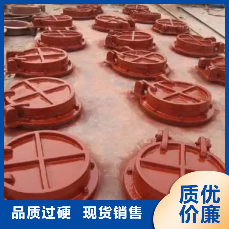 拍门卷扬启闭机厂家支持货到付清