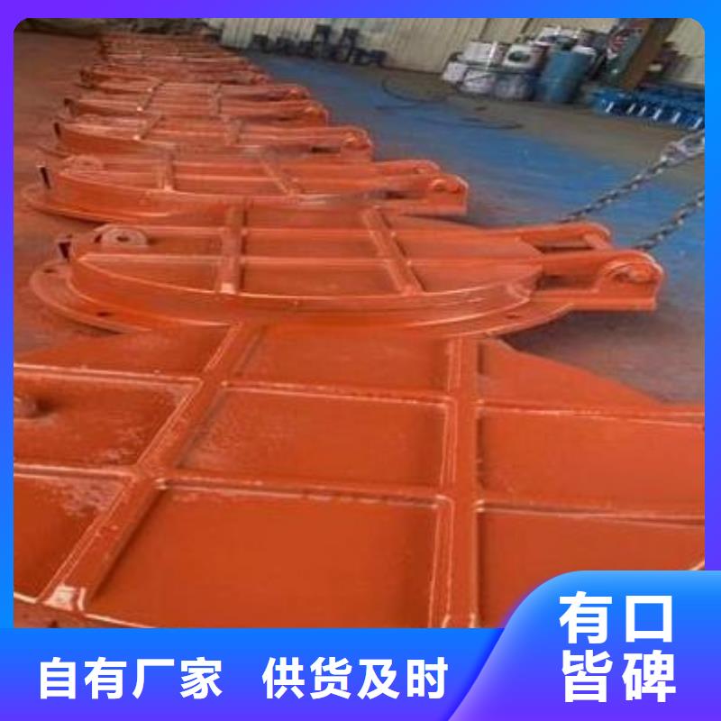 拍门铸铁闸门厂家价格公道合理