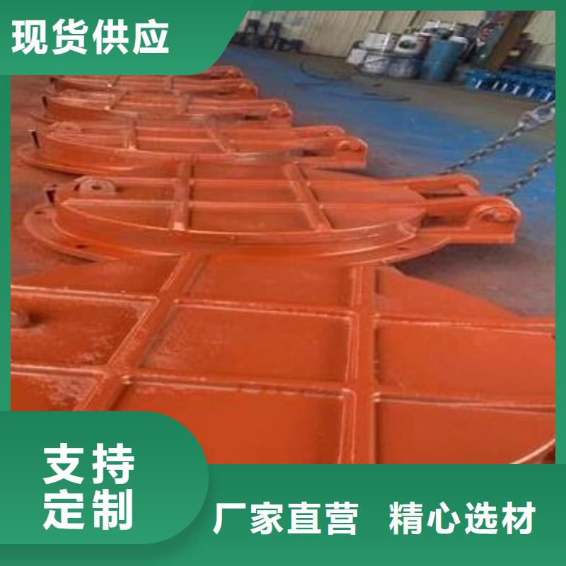 拍门钢制拍门厂家一对一为您服务
