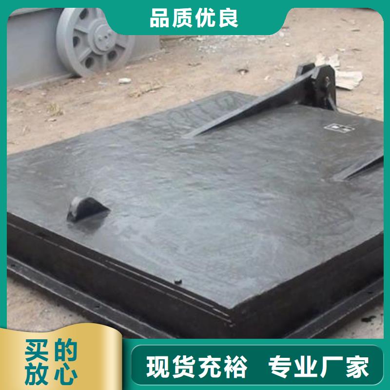 拍门钢制闸门实力优品