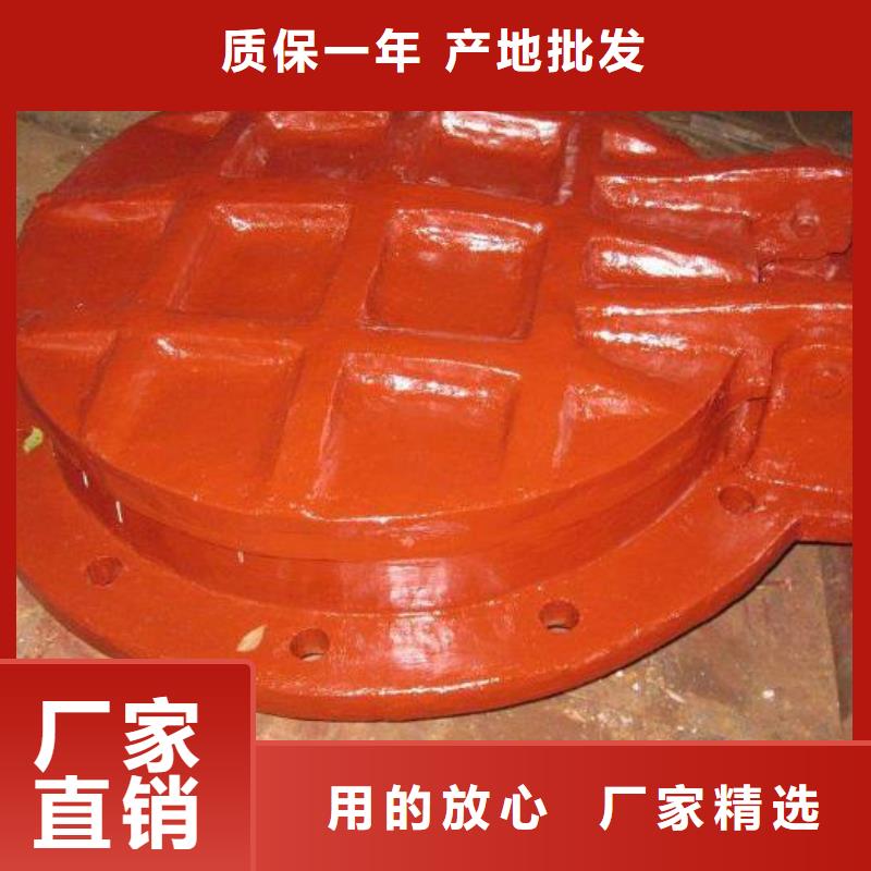 拍门【卷扬启闭机厂家】品质做服务