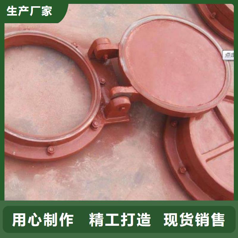 拍门_铸铁闸门厂家颜色尺寸款式定制