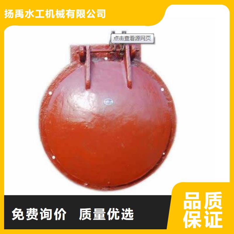 拍门钢制闸门实力厂家