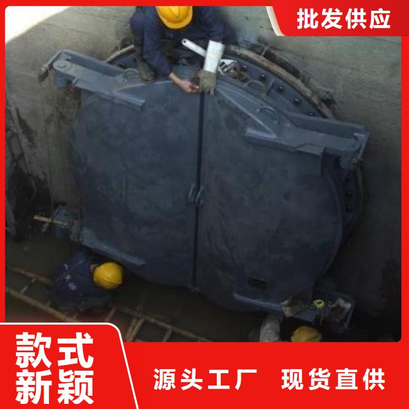 拍门不锈钢闸门敢与同行比价格