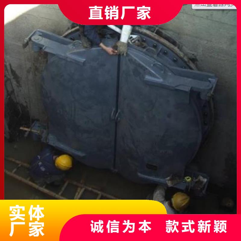 【拍门 泵站清污机多行业适用】