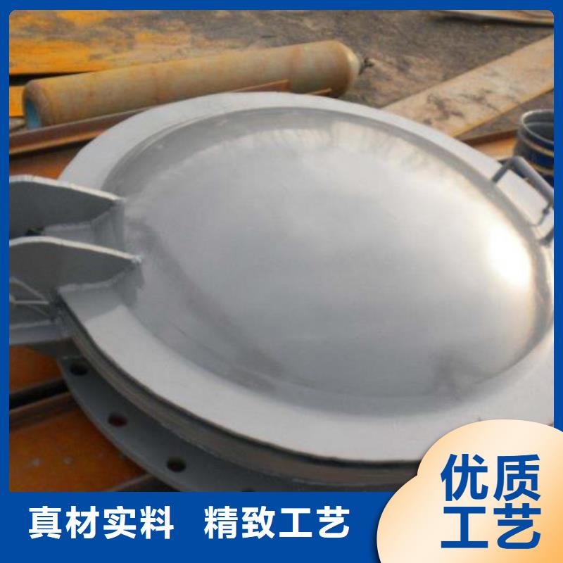拍门-不锈钢清污机多种工艺