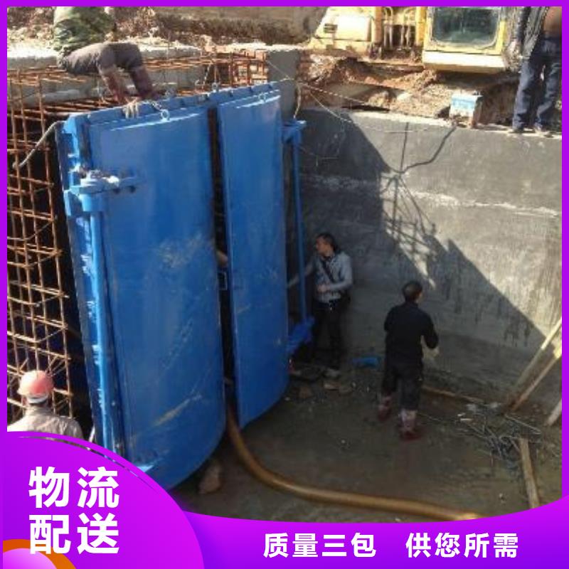 拍门卷扬启闭机厂家满足您多种采购需求