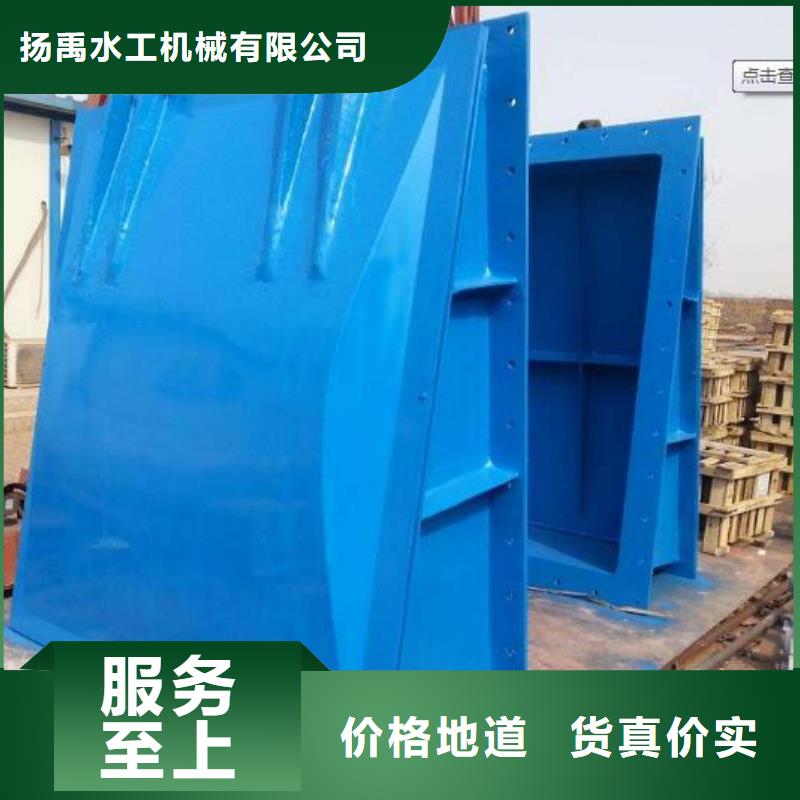 拍门铸铁闸门讲信誉保质量