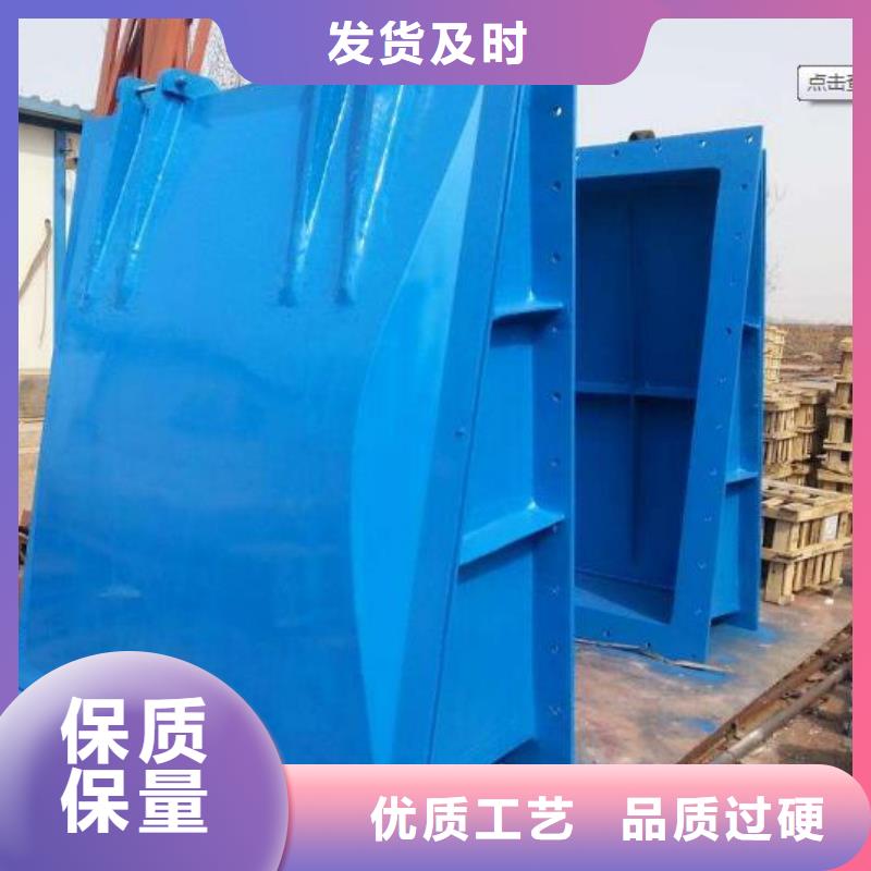 拍门,【液压启闭机】设计制造销售服务一体