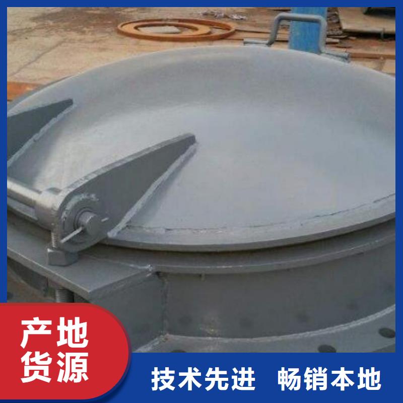 拍门,电动装置启闭机厂家十分靠谱