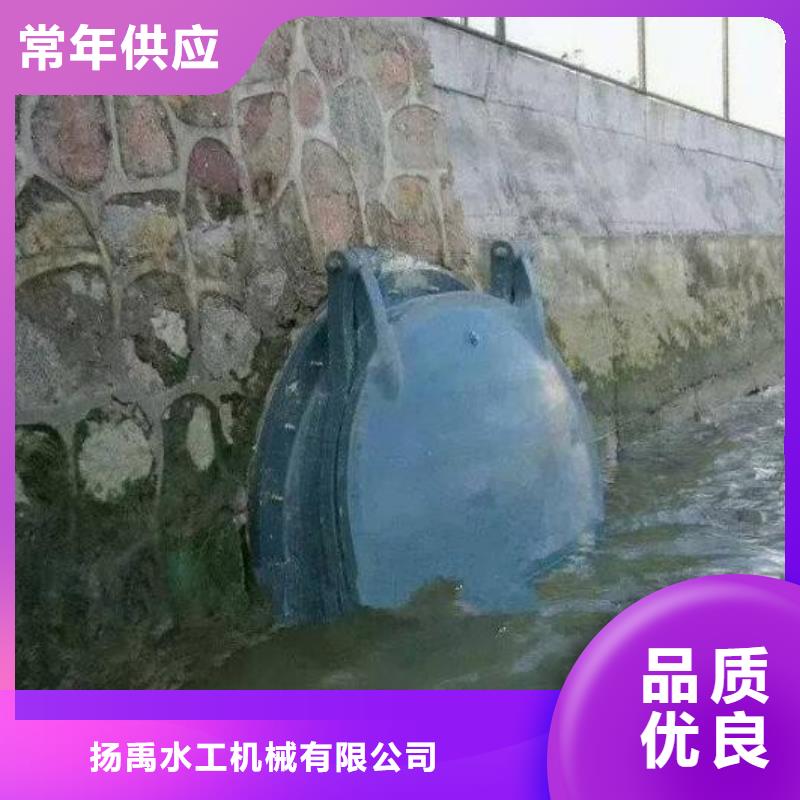 拍门铸铁闸门优良工艺