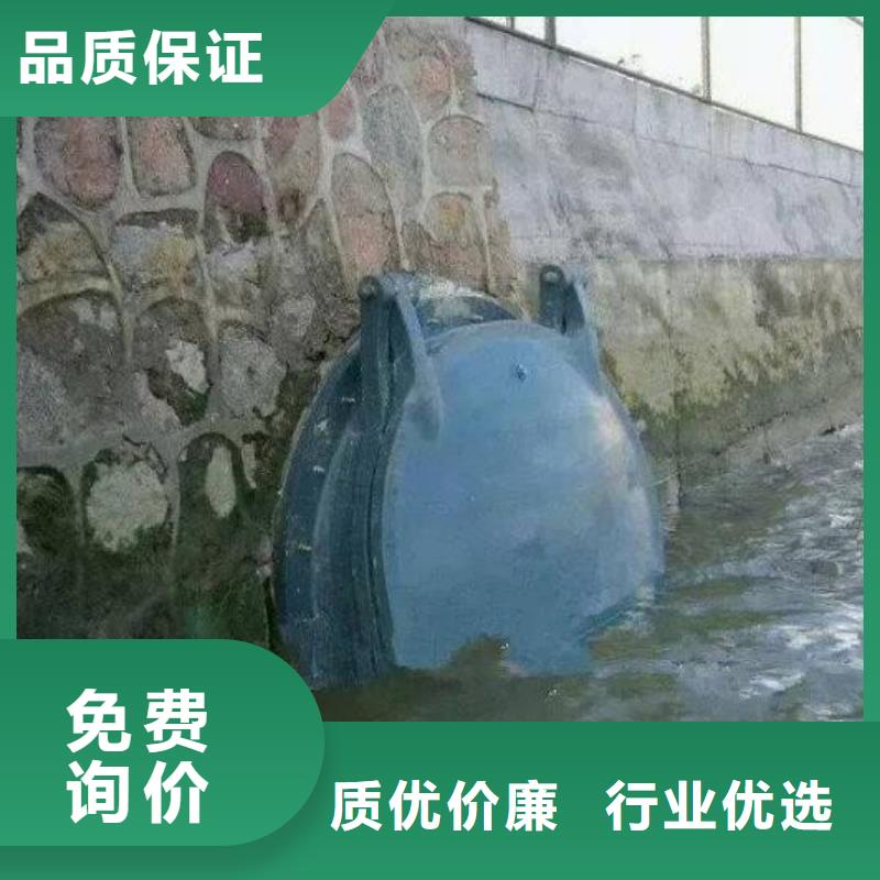 拍门-【闸门】专业生产制造厂