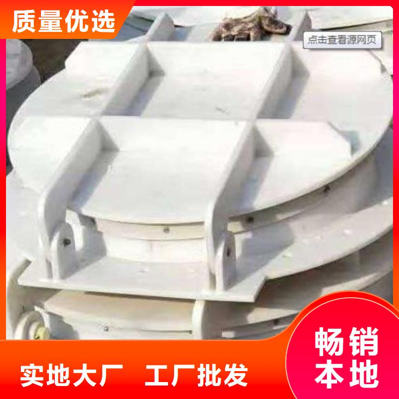 拍门钢制闸门实力优品
