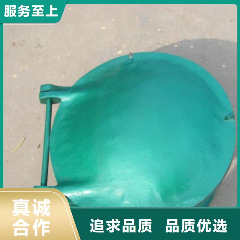 拍门-不锈钢清污机多种工艺
