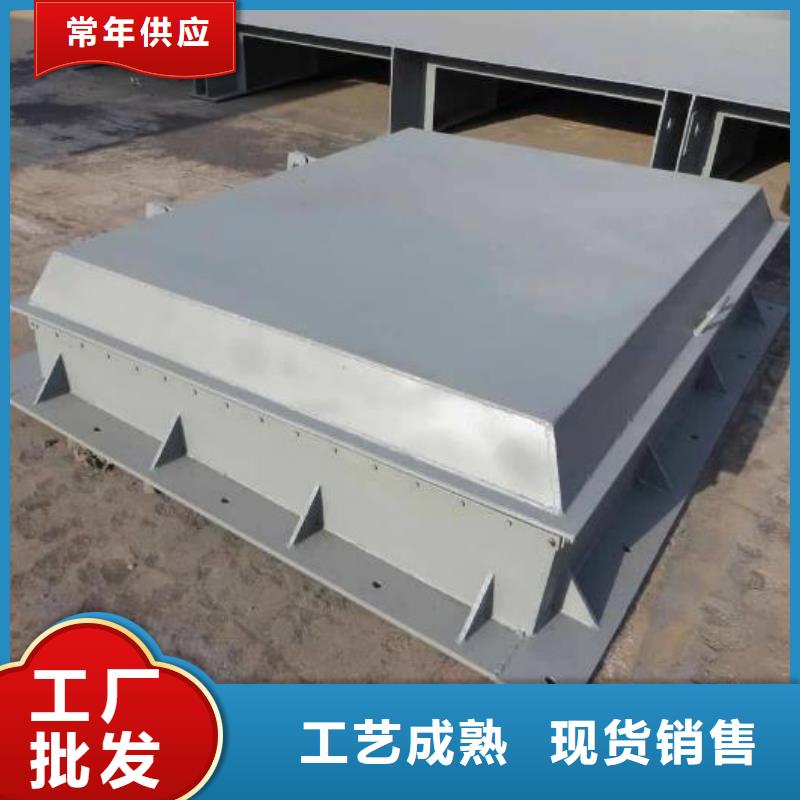 拍门铸铁闸门厂家商家