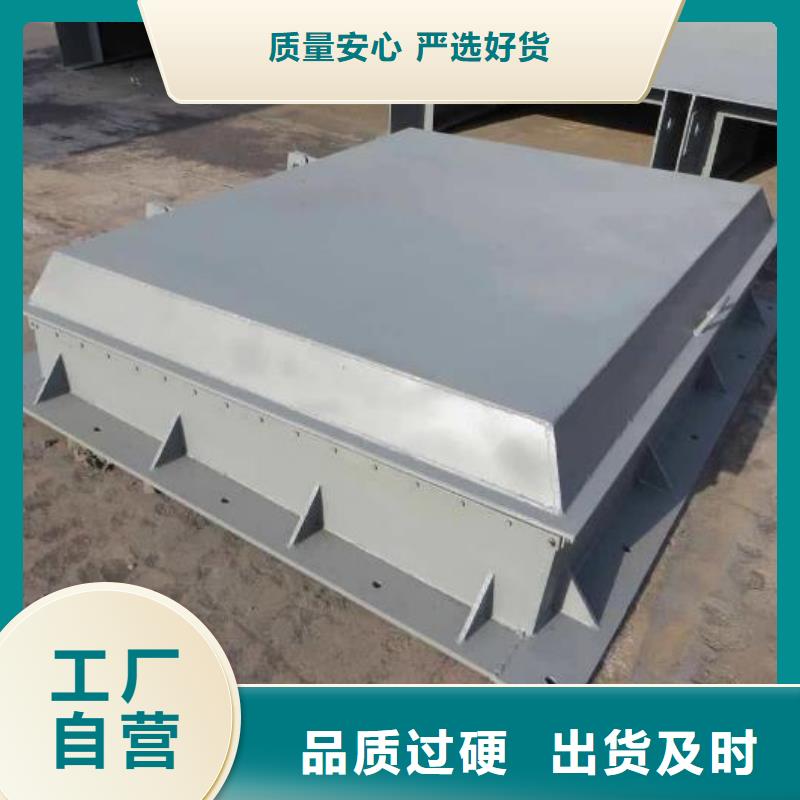 拍门钢制拍门追求品质