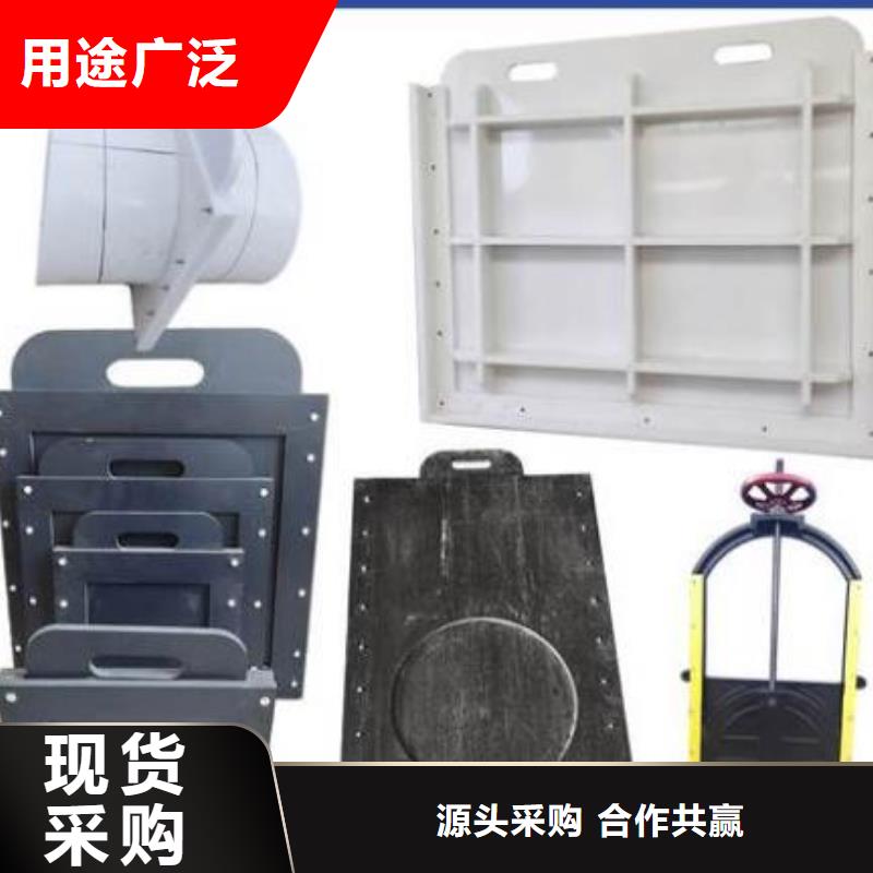 塑料闸门,球墨铸铁闸门实力雄厚品质保障