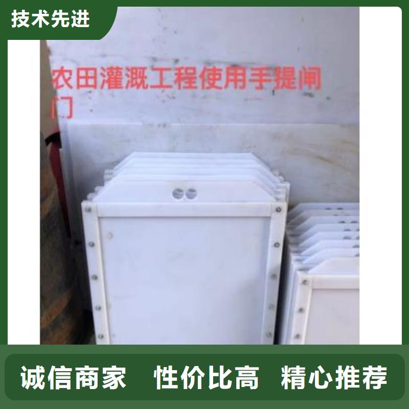 塑料闸门手提铸铁闸门用心制造
