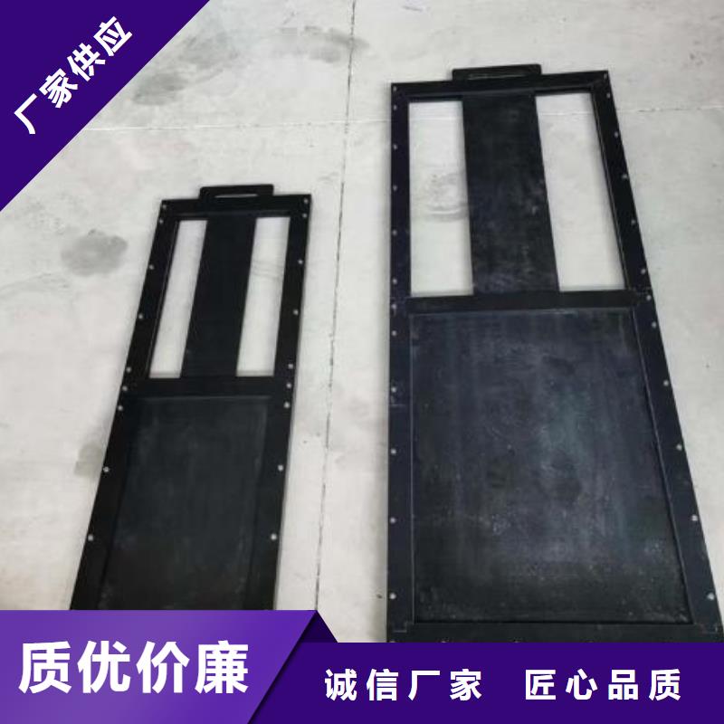 【塑料闸门抓斗清污机好产品好服务】