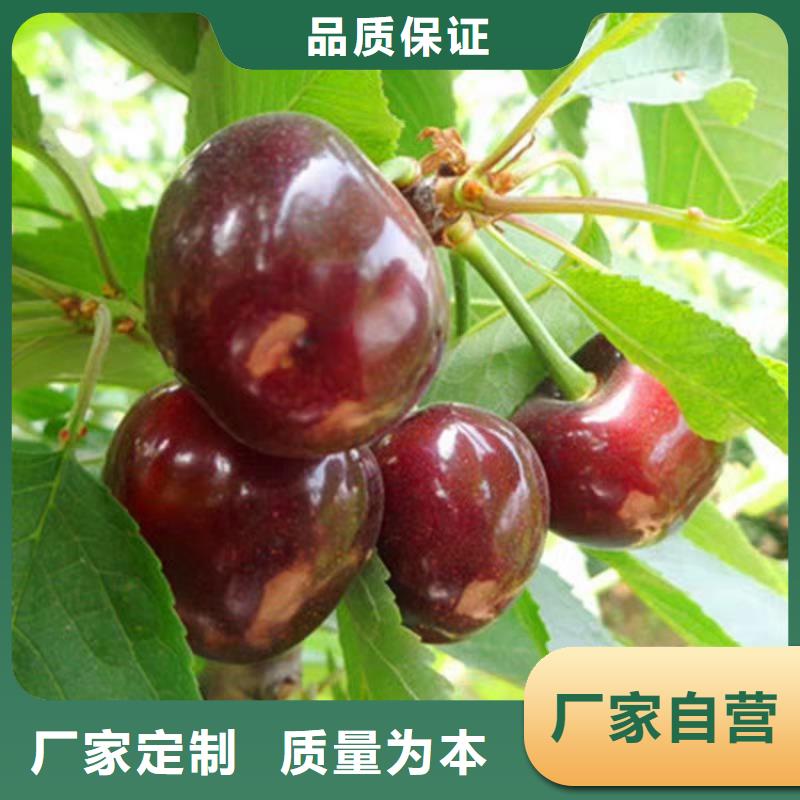 樱桃-奶油草莓严选材质