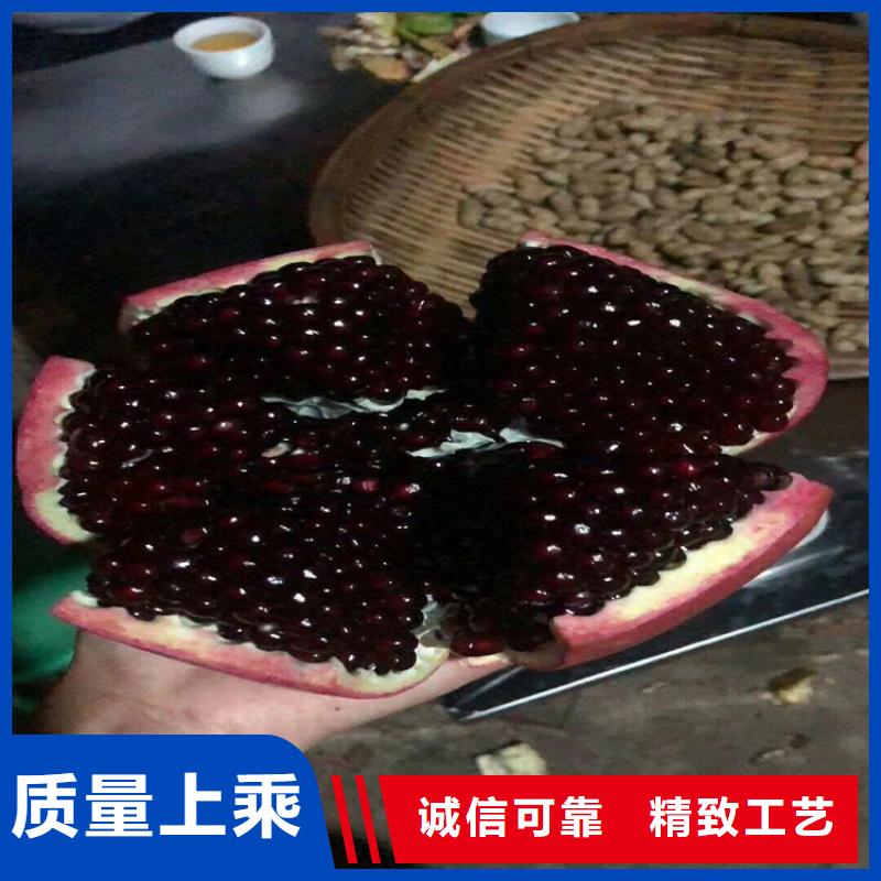 【石榴,梨树苗厂家直销省心省钱】