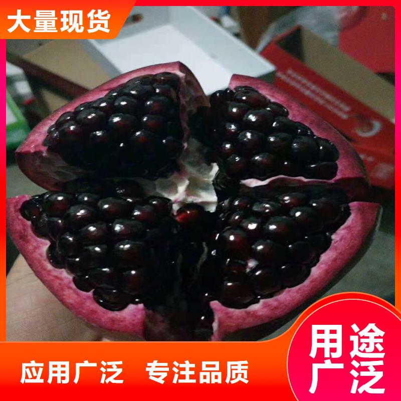 【石榴】,樱桃苗保障