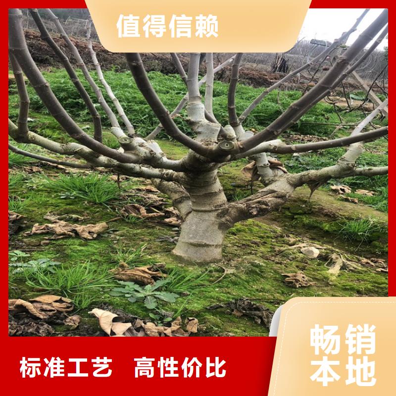 【无花果嘎啦苹果精心选材】