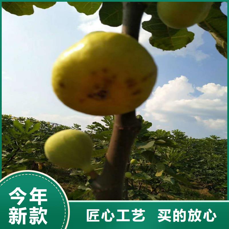 【无花果嘎啦苹果精心选材】