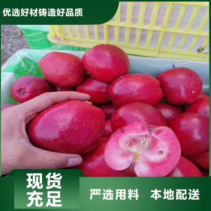 苹果石榴树苗严格把控每一处细节