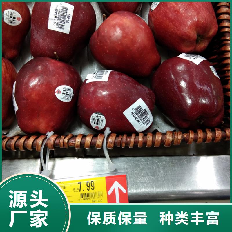 苹果嘎啦苹果放心购