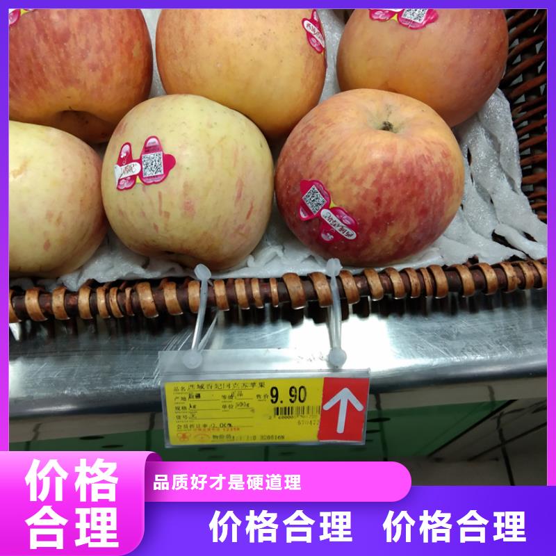 苹果蓝莓苗厂家现货供应
