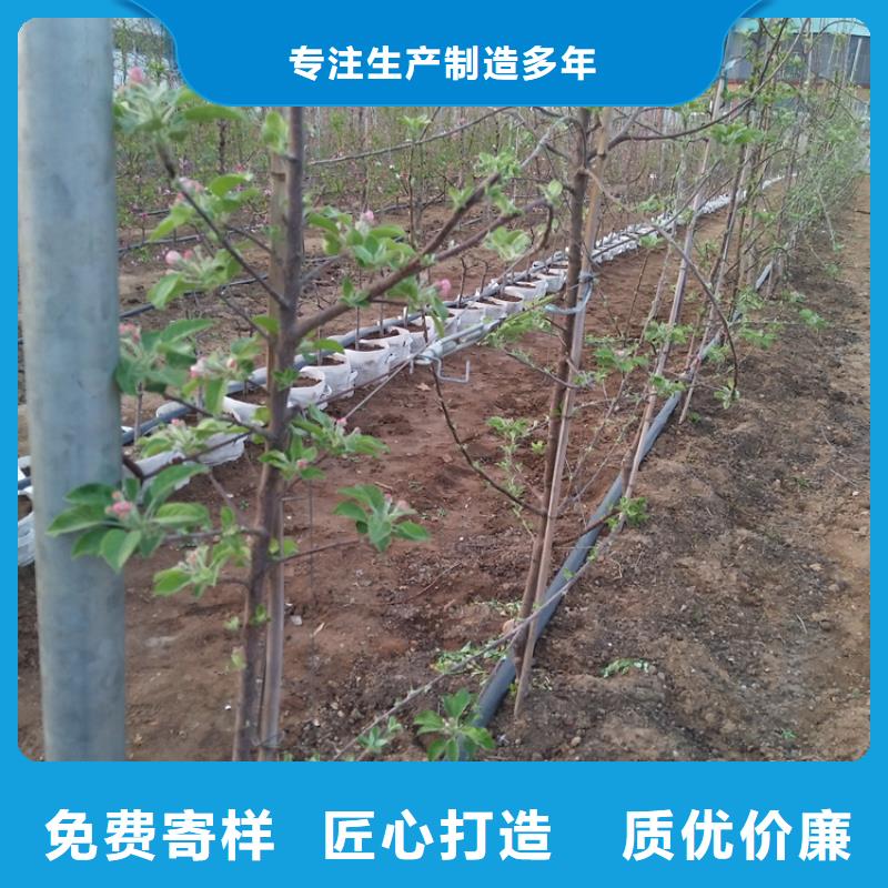 苹果石榴树支持拿样