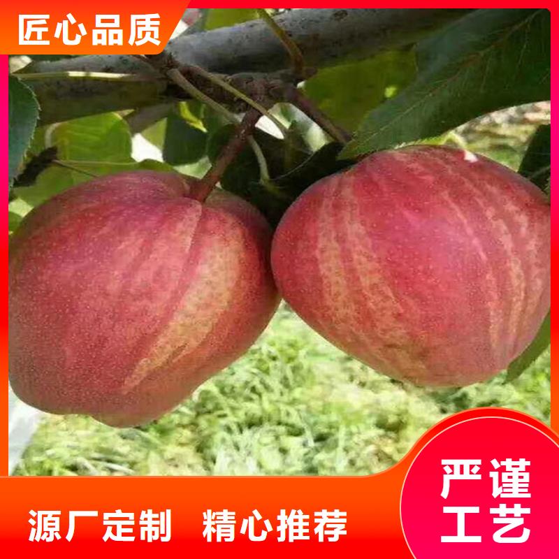 梨树,葡萄苗厂家直销值得选择