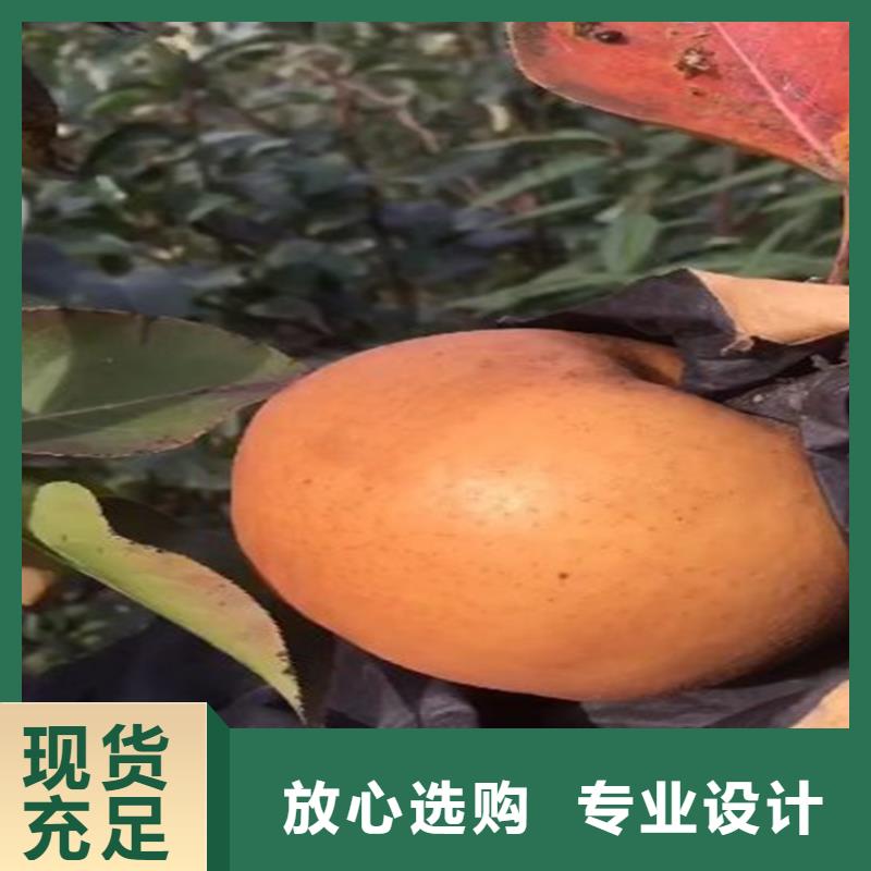 【梨树桃树苗质量三包】