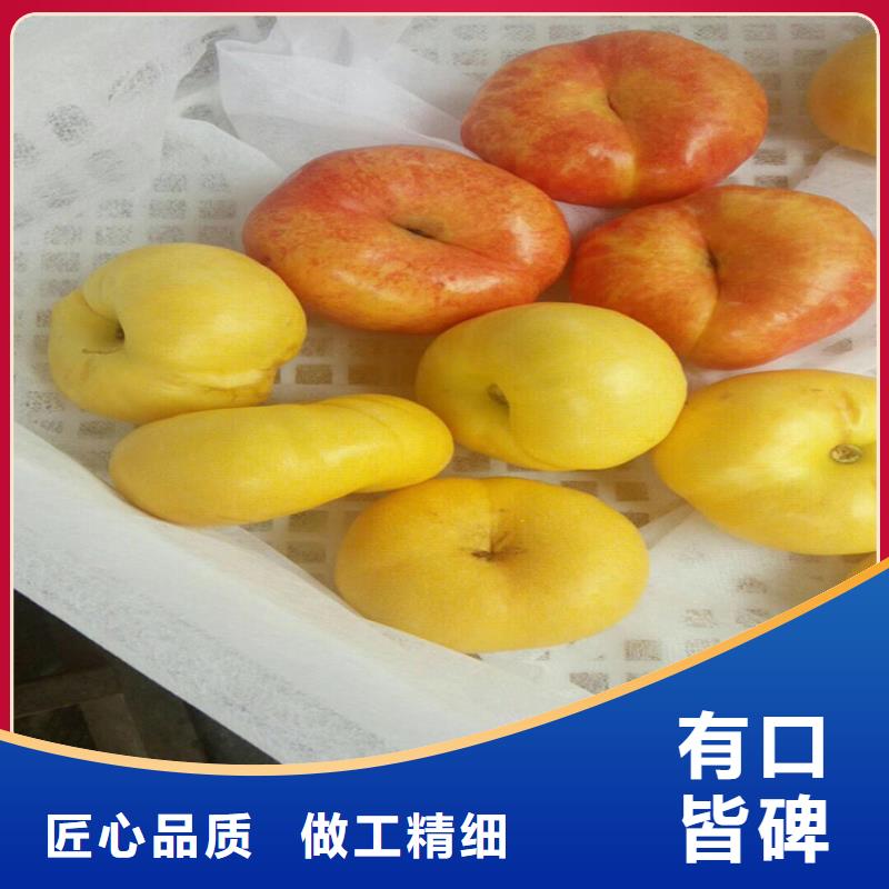 桃苹果苗N年生产经验