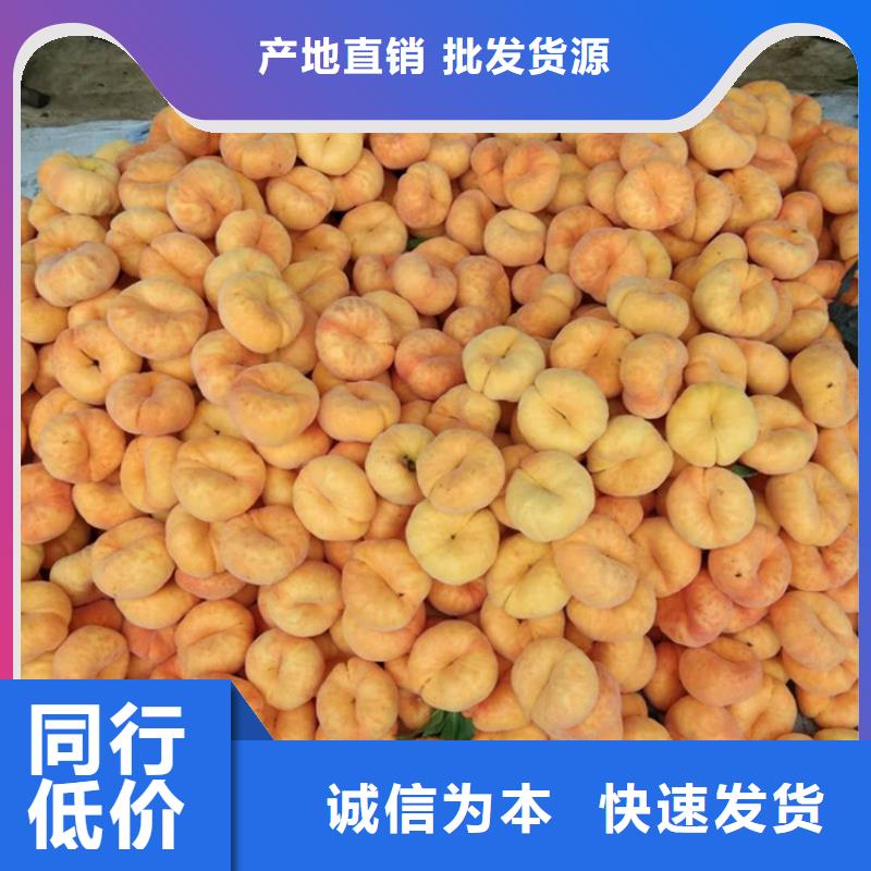 桃樱桃苗超产品在细节