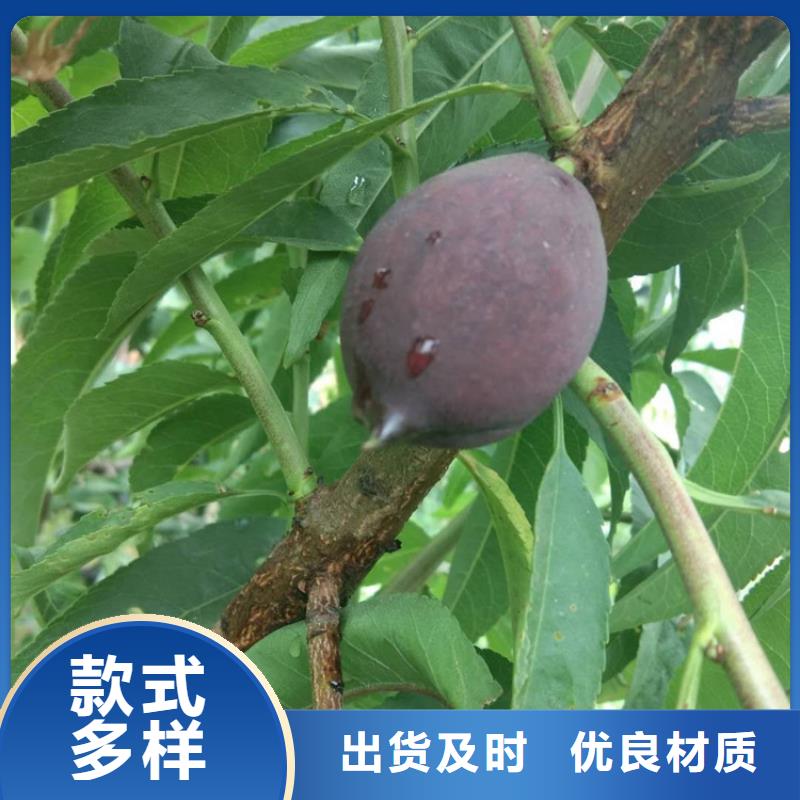 桃奶油草莓品质信得过