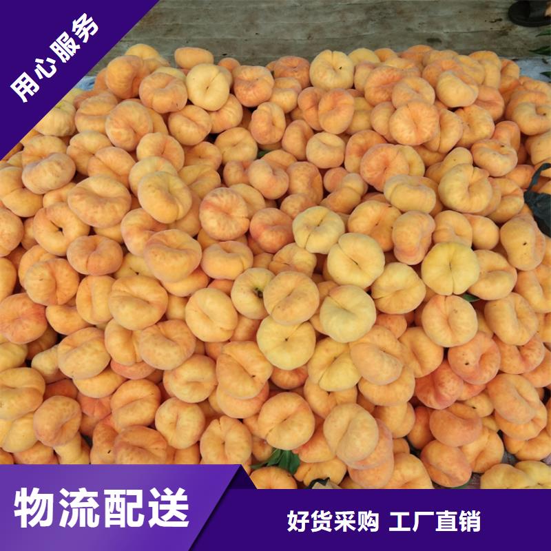 桃奶油草莓品质信得过