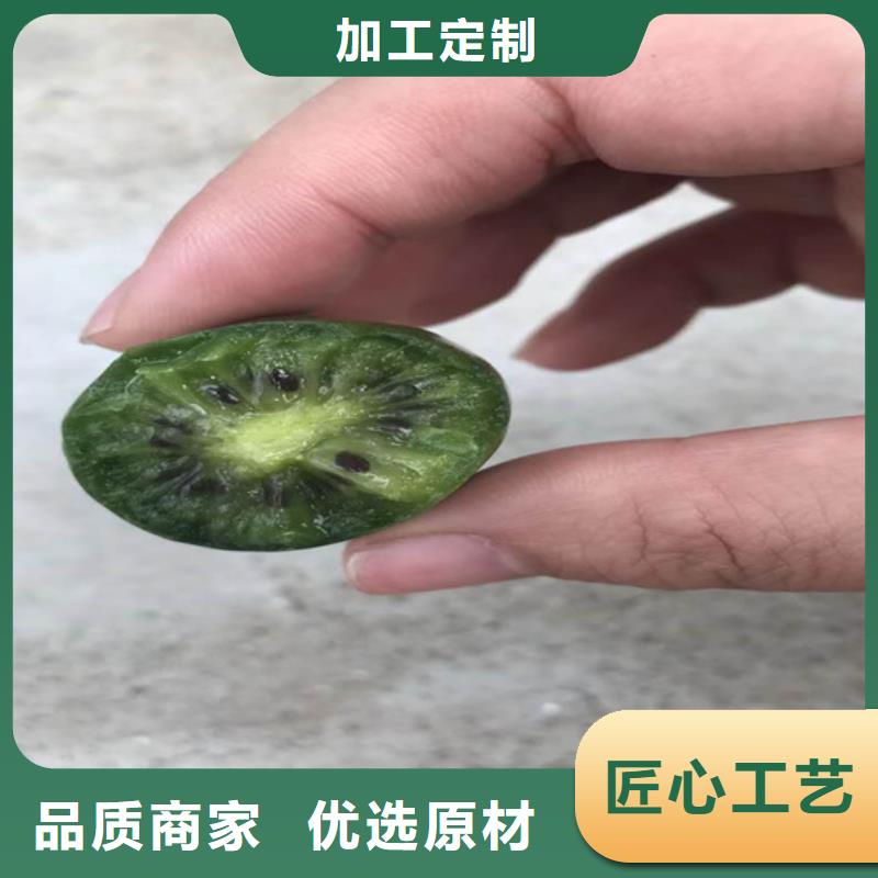 猕猴桃樱桃苗免费回电