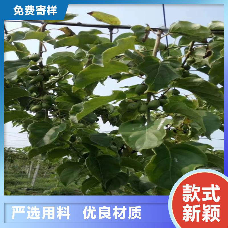 猕猴桃,石榴树资质认证