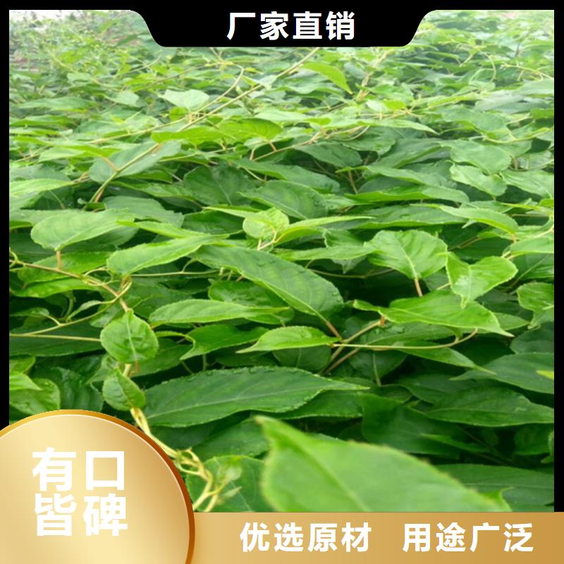 猕猴桃,石榴树资质认证