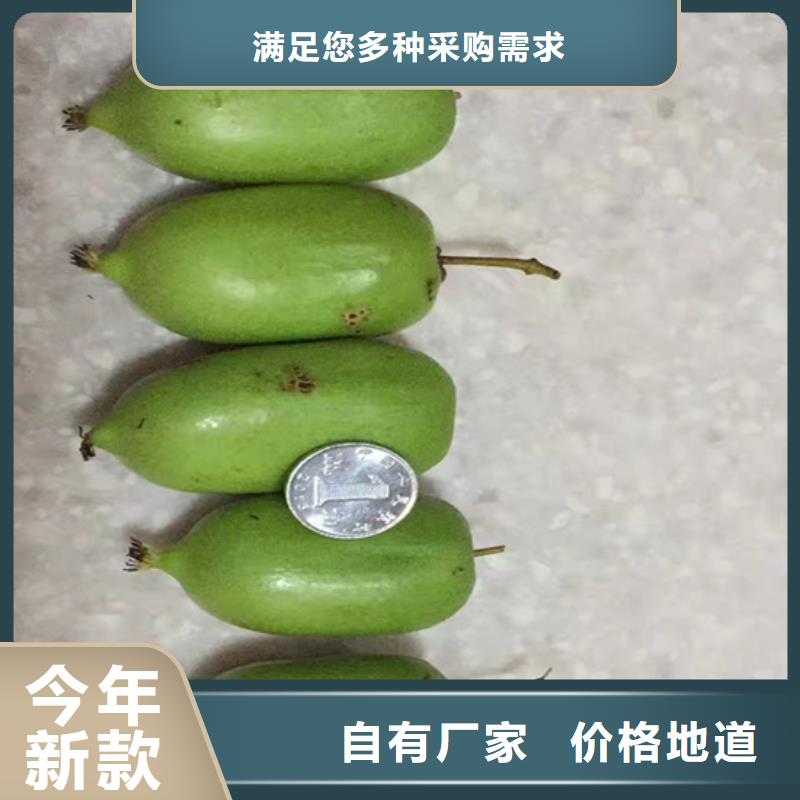 猕猴桃樱桃苗信誉至上