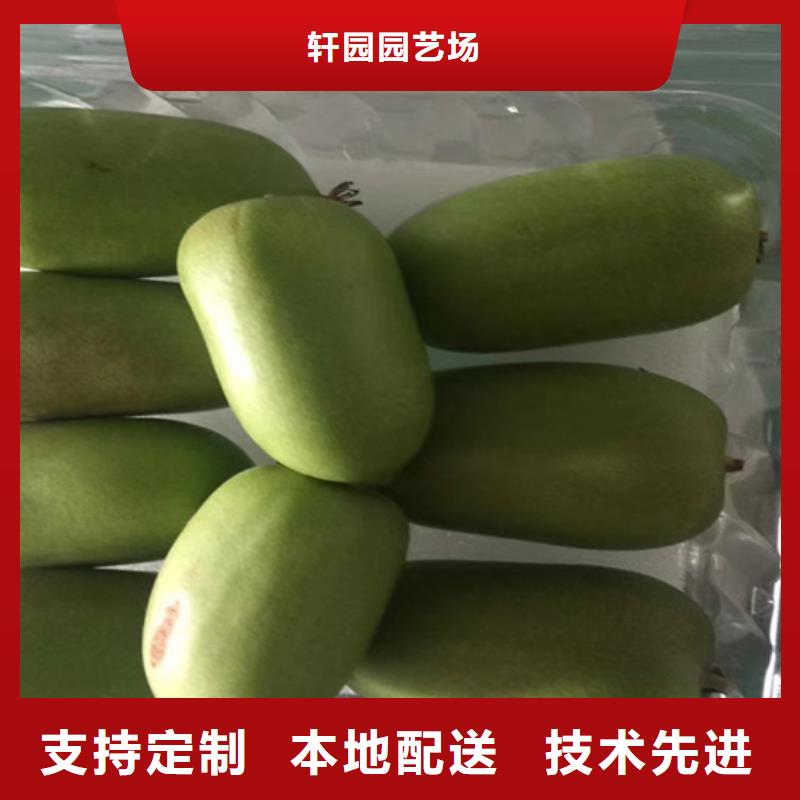 猕猴桃_石榴树精选货源