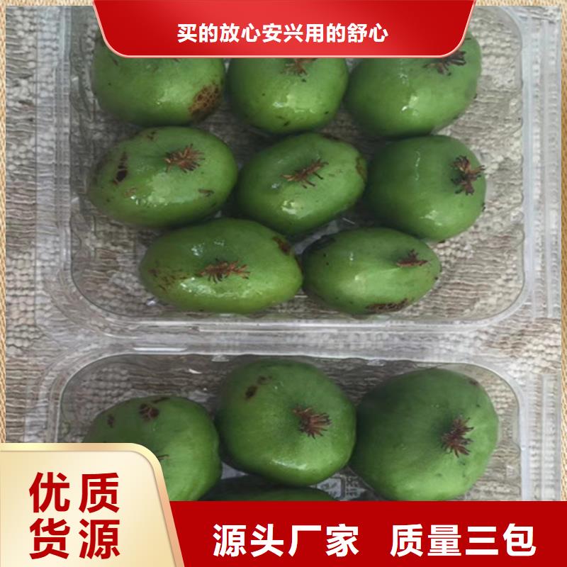 猕猴桃,樱桃苗实体诚信经营