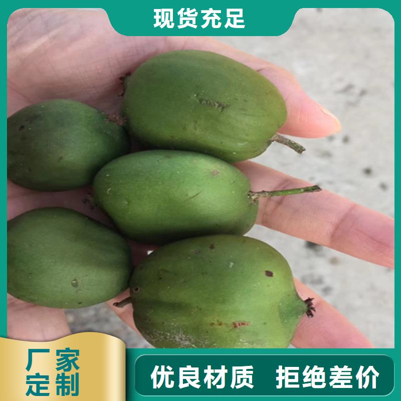 猕猴桃杏树苗一手货源源头厂家